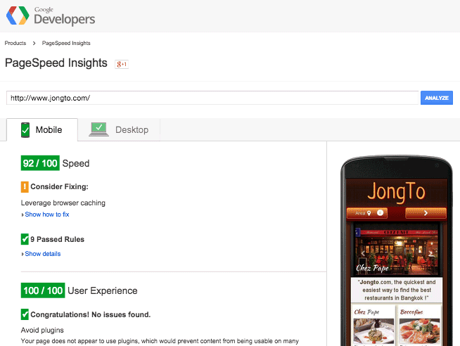 Page speed insight